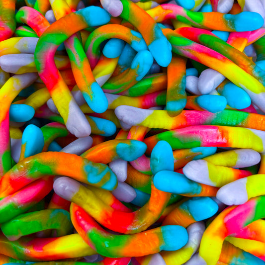 Vers Lisse Multicolor (100g)