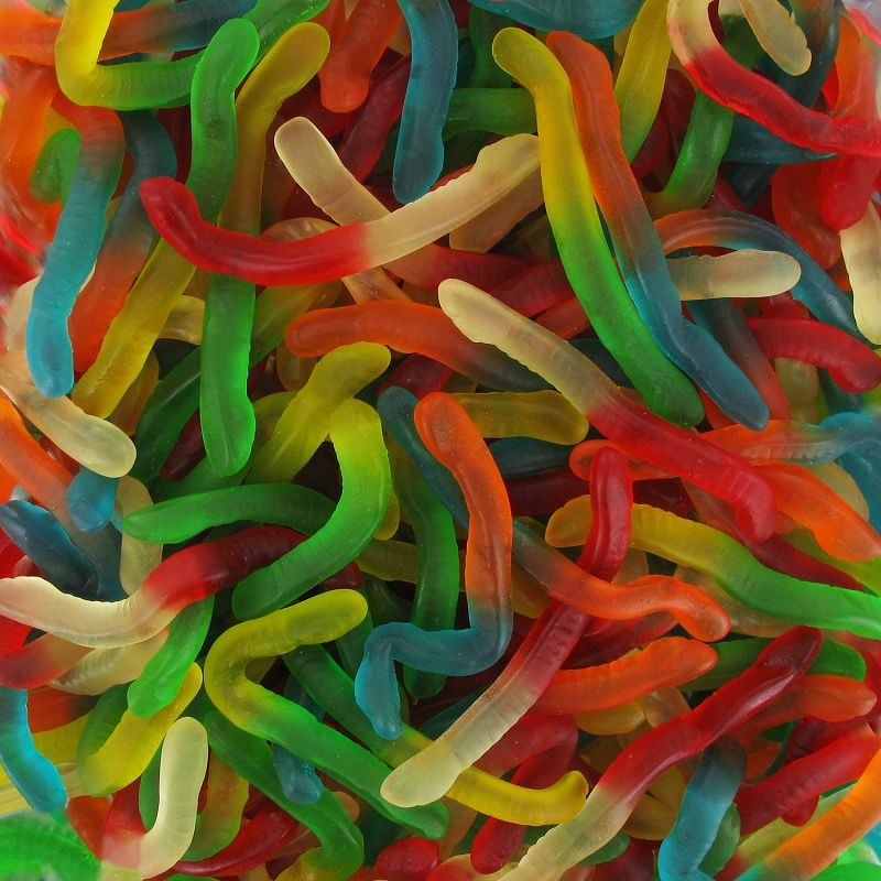 Vers LISSES (100g)